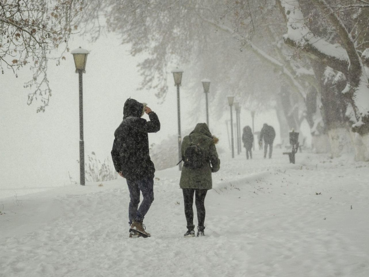 Gelo espesso numa manhã de inverno